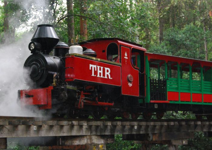 Steam train at Timbertown Heritage Theme Park, Wauchope