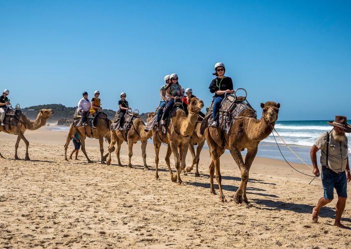 Visitors enjoying a camel experience with Port Macquarie Camel Safari's on Lighthouse Beach, Port Macquarie