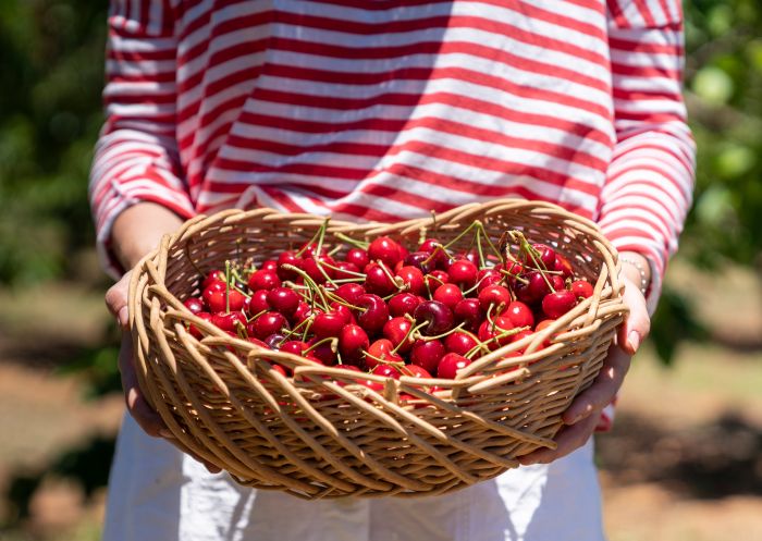 Woman holding a basket of cherries at Ballinaclash Food and Wine, Young