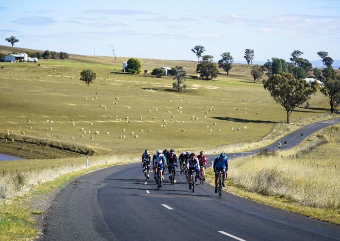 Cyclists competing in the scenic 2019 in Newcrest Orange Challenge, Orange