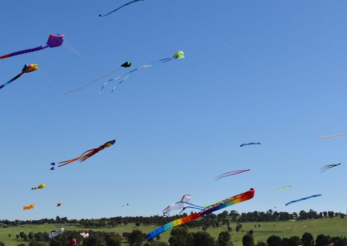 Flying Kites across the skyline at Harden Kite Festival, Harden