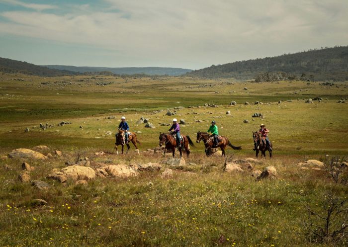 Guests riding across the plains, Australian Saddle Safaris, Adaminaby - Credit: Michaela Lawless