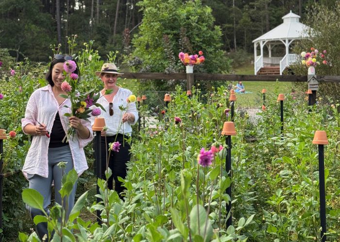 People picking flowers, Southern Highlands Flower Farm, Penrose - Credit: Southern Highlands Flower Farmer