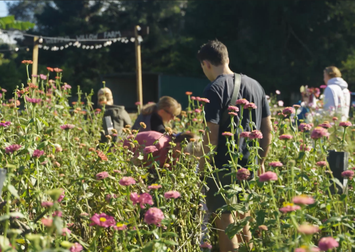 People gathering flowers at Weeping Willow Farm, Palmdale