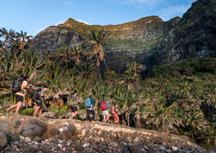 Hikers walking near palms, Little Island, Lord Howe Island - Credit: Tourism Australia