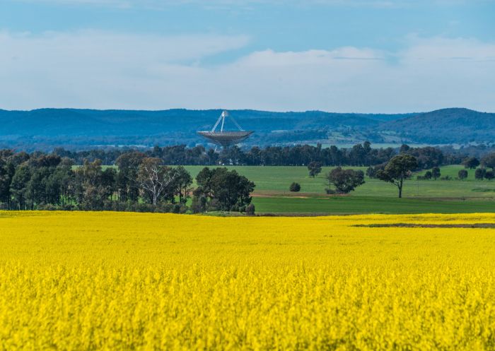 Rapsfelder, Besucherzentrum des CSIRO-Radioteleskops Parkes, Parkes