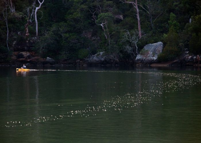 Group stand-up paddleboarding tour, Wajaana Yaam Gumbaynggirr Adventure Tours, Moonee Creek, Coffs Coast - Credit: Nick Cubbin | DCCEEW