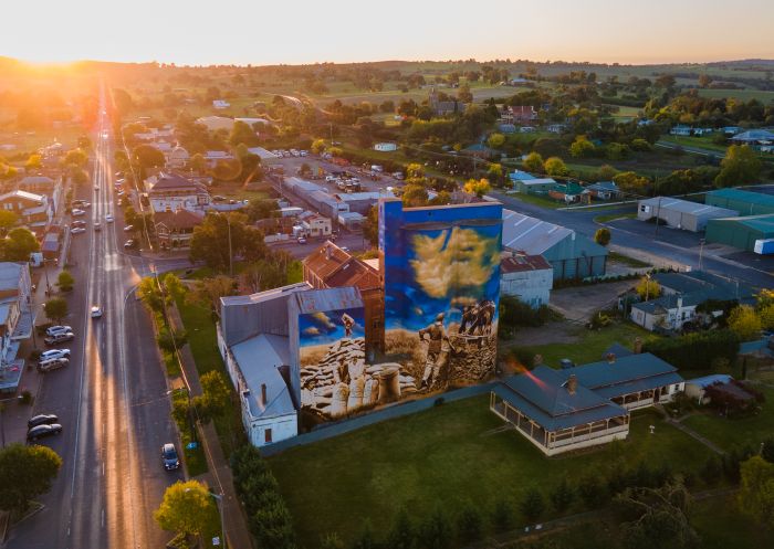 Aerial view, Murrumburrah Silo Art, Harden - Credit: Hilltop Council