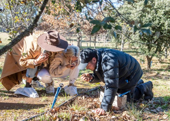 Experience Nature Group - Credit: Ashley Mackevicous | Experience Nature Group