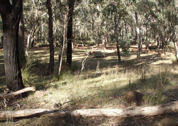 Greenbah Creek Campground, Goobang National Park - Credit: Phillip Tattersall | DCCEEW