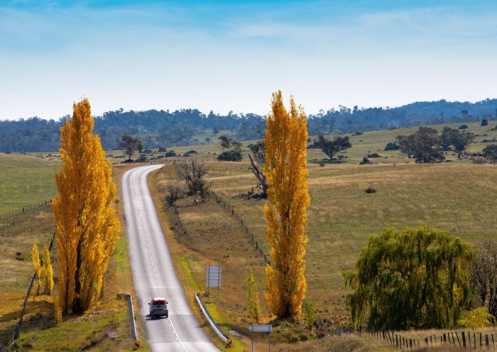 Car travelling in a country road between Berridale and Adaminaby Country road, Snow Mountains - Credit: Don Fuchs | Destination NSW