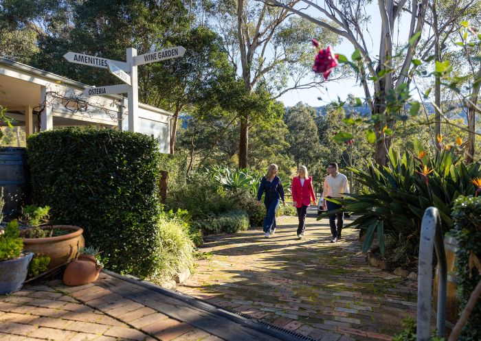 Couple walking, Briar Ridge Vineyard, Mount View, Hunter Valley