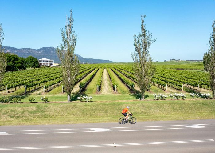 Cyclist riding past vines, The Hermitage Road Bike Trail, Around Hermitage Wine and Food Trail Hunter Valley - Pokolbin - Credit: Josh Vincent