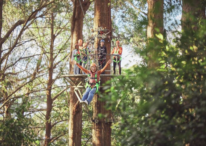 Group of people soaring through canopies, Illawarra Fly Treetop Adventures, Knights Hill