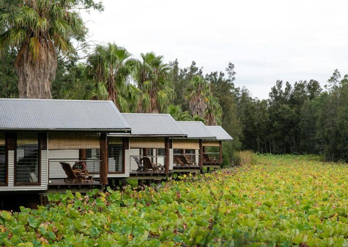 Four king boathouses near lotus pond, The Boathouses at Leaves and Fishes, Lovedale - Credit: Jessica Bellef | Leaves and Fishes