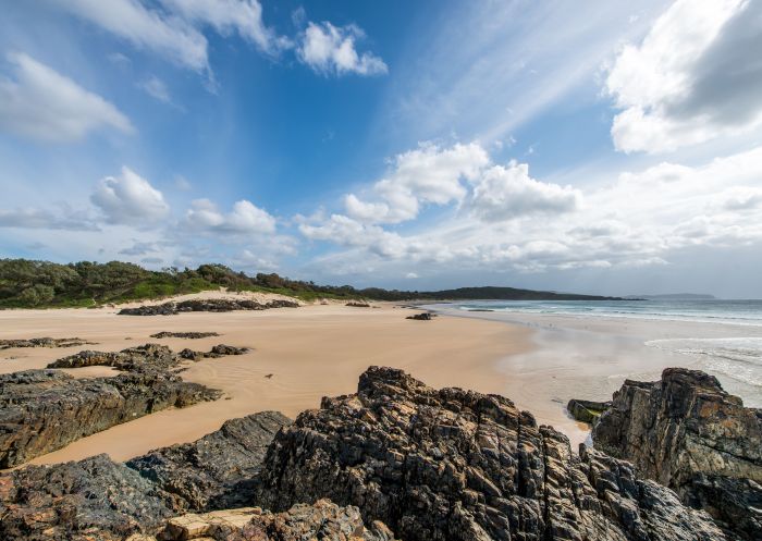 Delicate campground, Crescent Head, Goolawah Regional Park - Credit: John Spencer | DCCEEW
