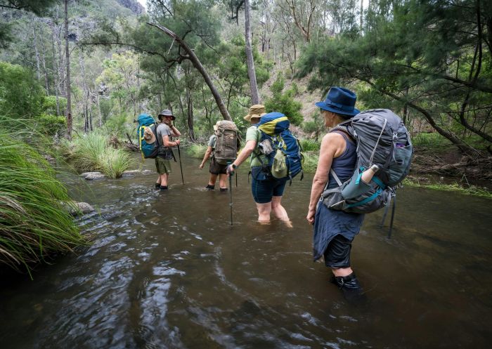 A group of hikers crossing a river - Green Gully Track - Yarrowitch - Credit: DCCEEW