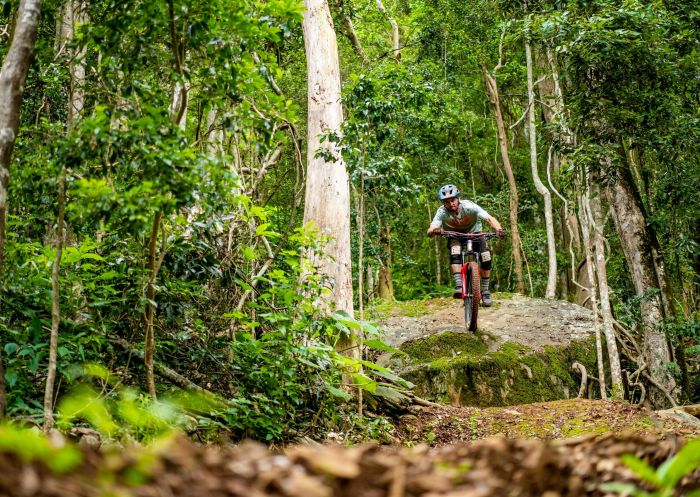 Mountain Bike Rider on an obstacle, Barrington Bike Park, Bindera - Credit: Barrington Bike Park