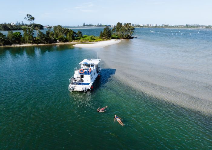 Swimming next to houseboat, Forster Houseboat hire, Forster