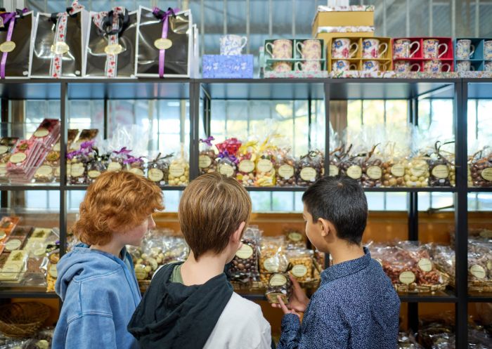 Three children looking at chocolate, The Treat Factory, Berry -  Credit: Tourism Australia