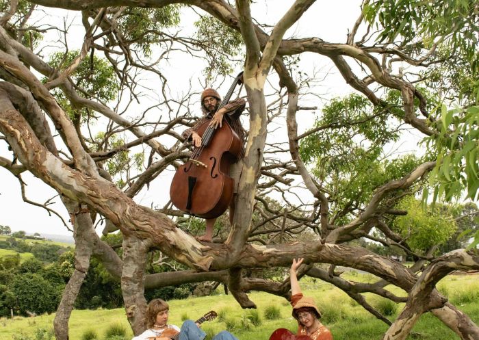 Feketebors (Hungarian Folk Music), Milton Folk Jazz and Blues Festival, Milton - Credit: Milton Folk Jazz and Blues Festival
