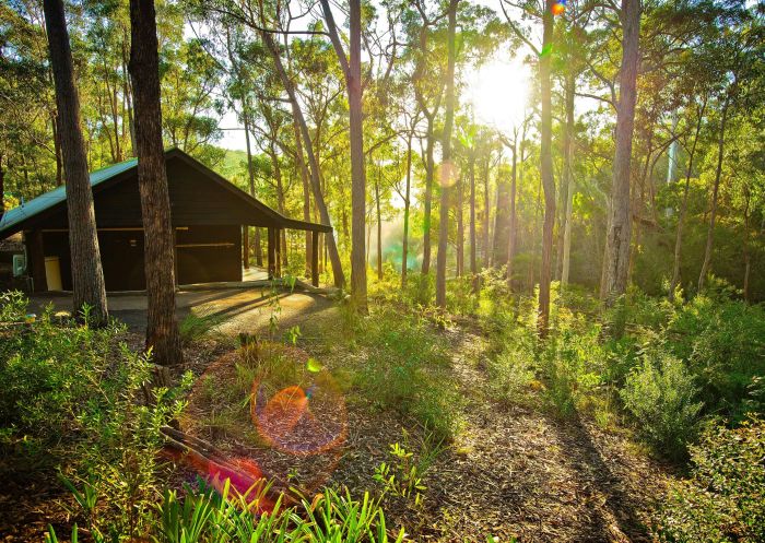 Morning Rays, Kianinny Bush Cottages, Tathra - Credit: Goose Boy | Kianinny Bush Cottages