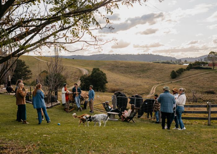 Friends enjoying a picnic with food and drinks, North of Eden Gin, Stoney Creek