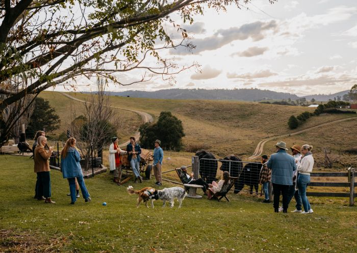 Friends enjoying a picnic with food and drinks, North of Eden Gin, Stoney Creek