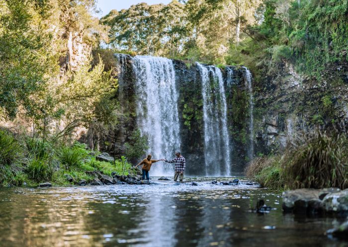 View from bottom of Dangar Falls, Dangar Falls, Dorrigo