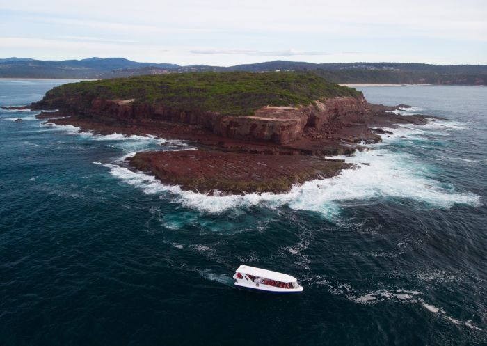 Aerial view of boat on water, Sapphire Coastal Adventures, Merimbula