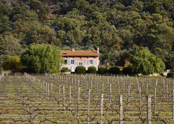 Vineyard and house, Talits Estate, Fordwich - Credit: Talits Estate