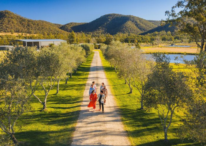 Visitors enjoying a walk past vineyards, Krinklewood Winery, Broke
