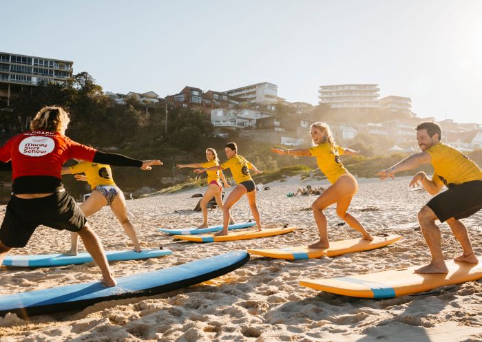Adults enjoying a learn to surf experience, Manly Surf School, Freshwater Beach