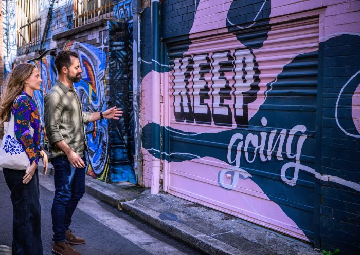 Laneway mural in the Back Alley Gallery, Back Alley Gallery, Lismore - Credit: Lismore City Council