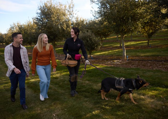 Couple on a guided truffle hunt with a Truffiere and truffle-sniffing dog, Oberon