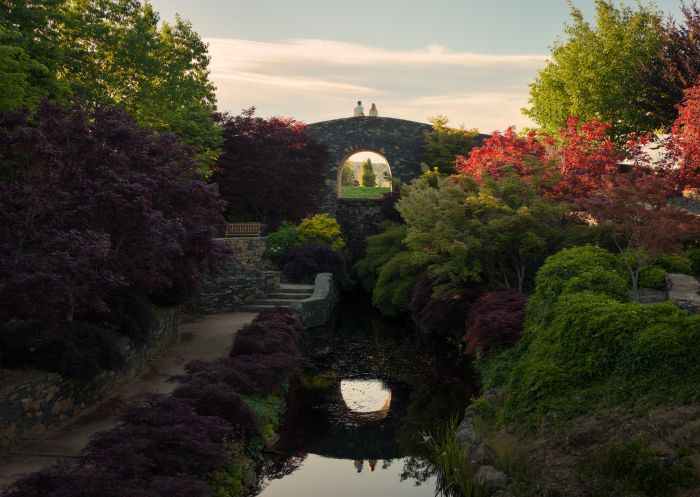 Couple enjoying the water garden at Mayfield Garden, Oberon