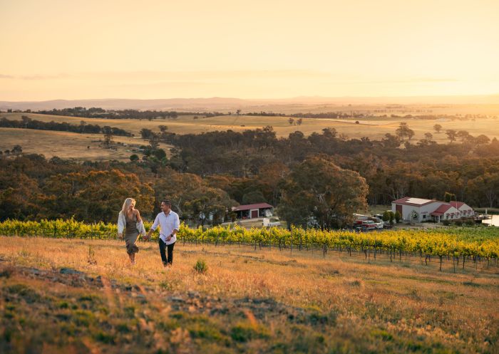 Couple enjoying a walk through the Winburndale Vineyard and Winery, Glanmire