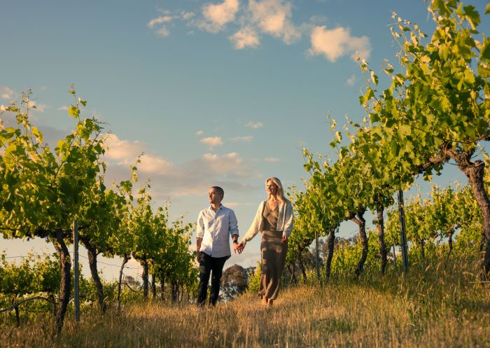 Couple enjoying a walk through the Winburndale Vineyard and Winery, Glanmire