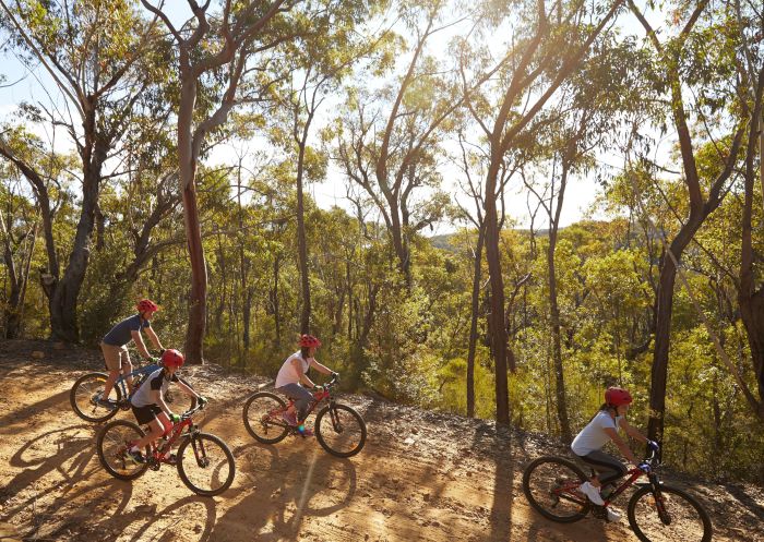 Family enjoying a day of mountain biking in the Blue Mountains National Park, Blue Mountains