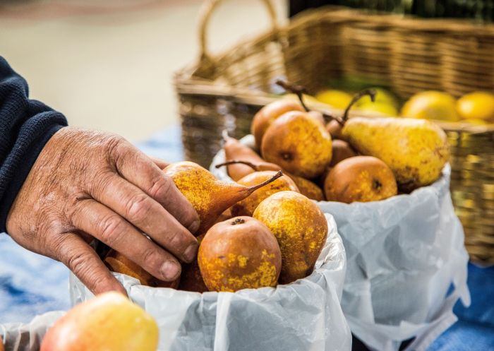 Fresh pears at a market stall, Orange Farmers Market, Orange
