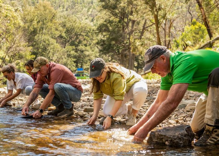 Trout fishing in mountain stream, wild mushroom foraging in highland forests, panning for gold & sapphires, Bathurst