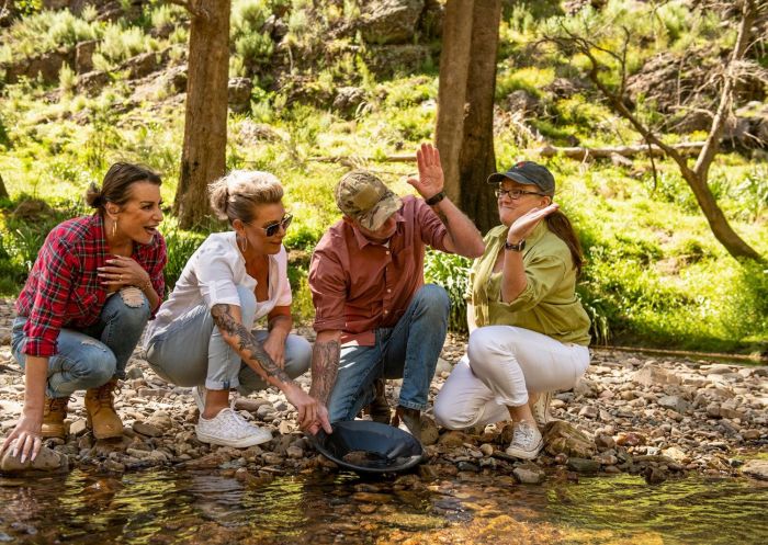 Tour group panning for gold & sapphires at the edge of a stream