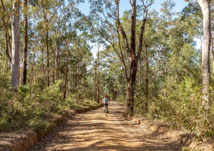 Mountain bike self-guided hire service and fully guided mountain E-Bike tours with Blue Mountains Biking Adventures, Katoomba
