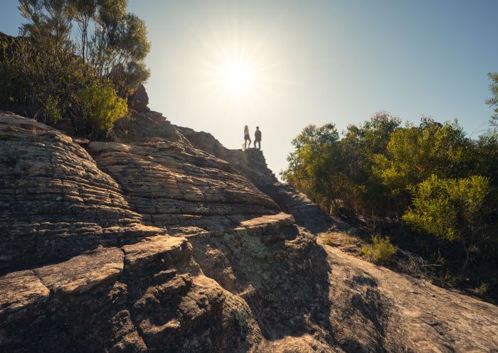 People exploring Ganguddy-Dunns Swamp and Wollemi National Park surrounds