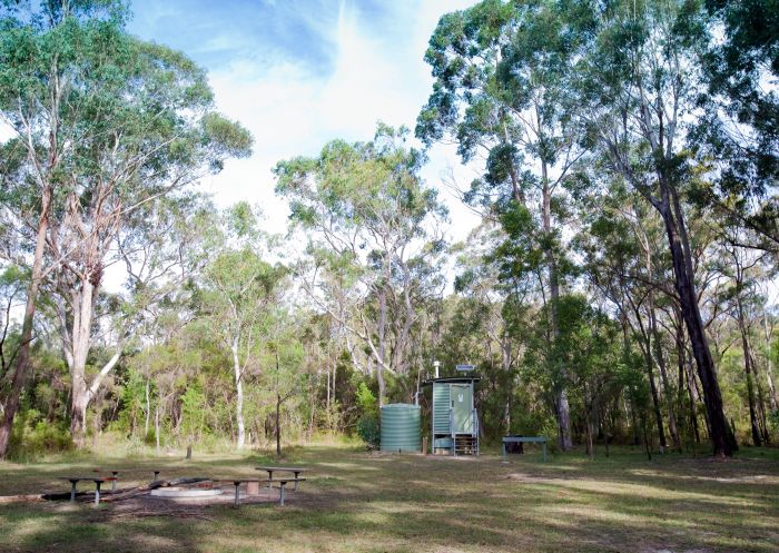Dubbo Gully Loop Trail, Ten Mile Hollow Campground, Dharug National Park- Credit: Nick Cubbin | DCCEEW