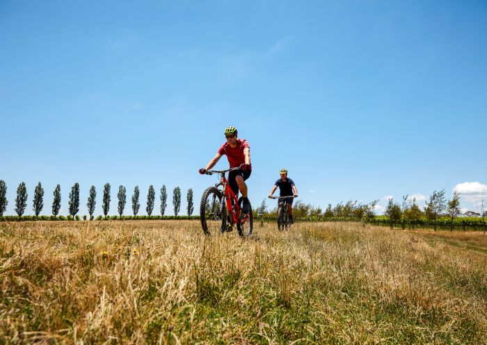 Friends enjoying the scenery on hired bicycles at Heifer Station, Orange
