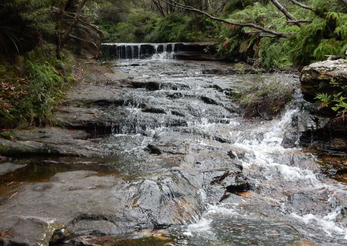 Water cascading down some rocks at Weeping Rock Walking Track, Blue Mountains National Park - Credit: Arthur Henry | DCCEEW