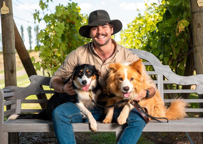 Man hugging two dogs on a bench at Heifer Station, Borenore - Credit: Heifer Station
