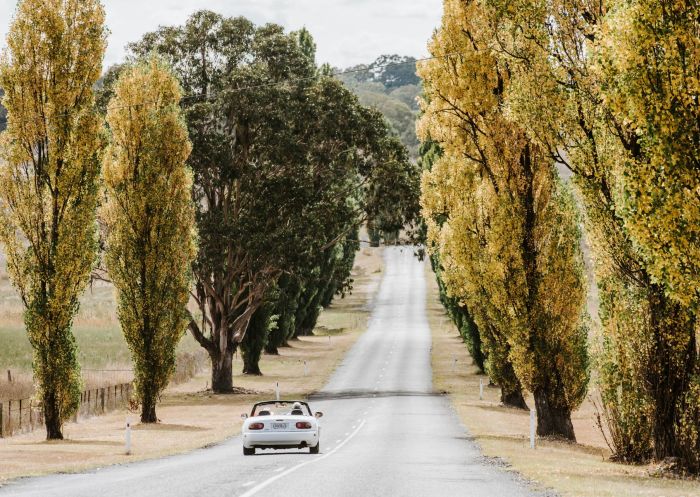 Scenic drive into Kandos, Mudgee - Credit: Mudgee Region Tourism