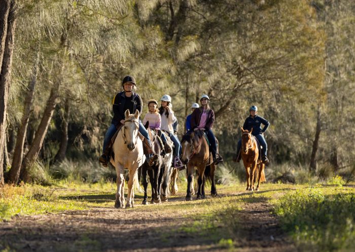 Group riding horses, Sahara Trails Horse Riding Port Stephens, Port Stephens